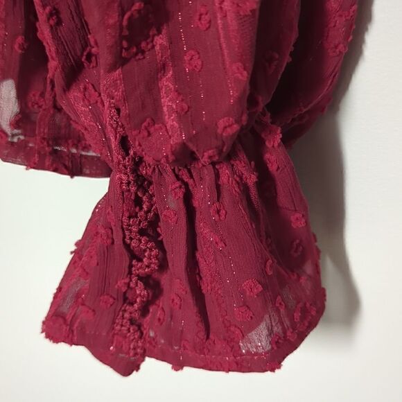 aliceblue Red Sheer Long Sleeve Blouse NWT - Picture 3 of 8